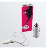 Batterie externe Energie Zigoh