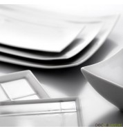 Assiettes repas Royal Limoges PAGODE (x1)