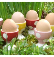 Coquetier à pois rose en Faïence (x 1)